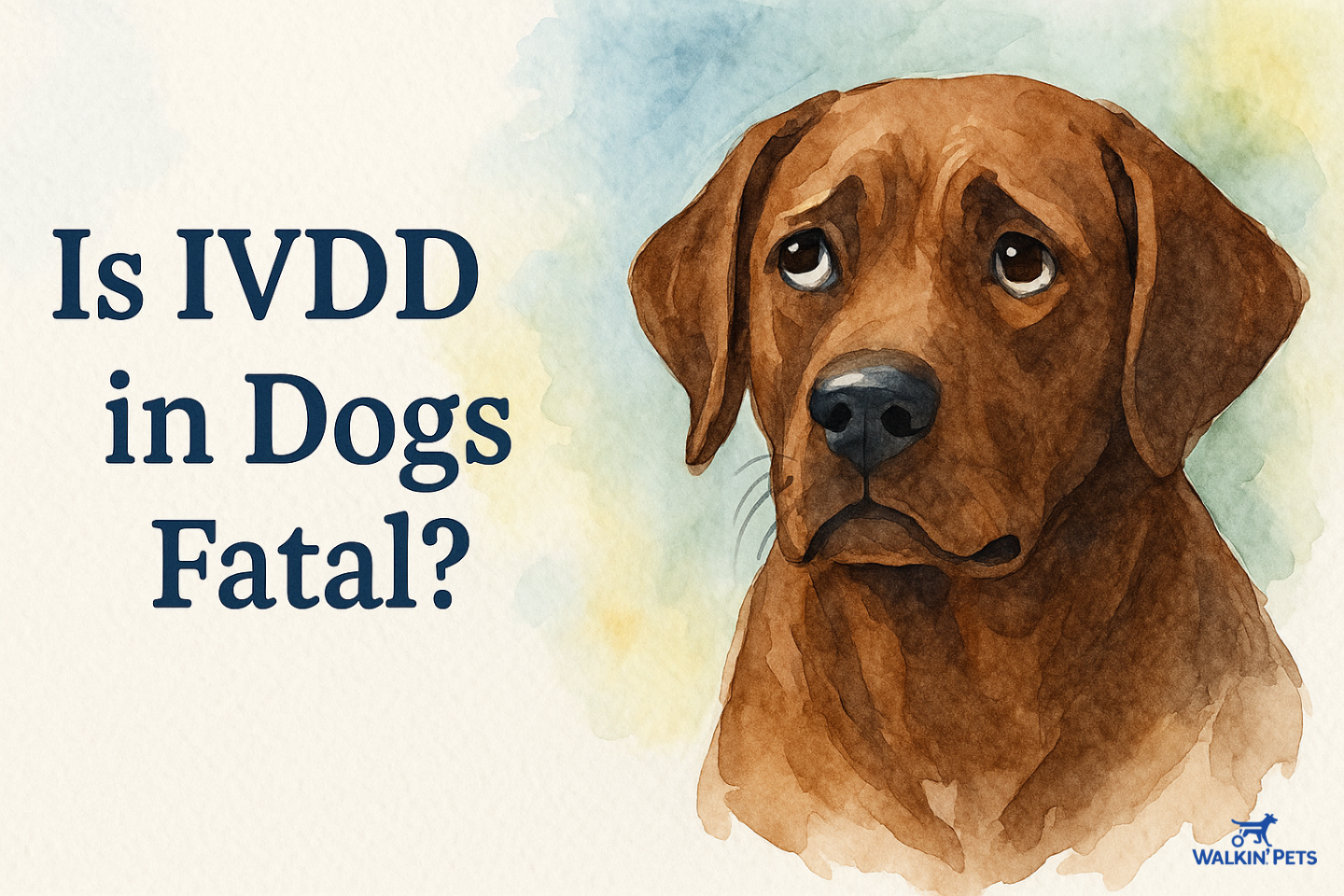 Is IVDD in Dogs Fatal? Can the Disease Kill a Dog? – Walkin’ Pets Is IVDD in Dogs Fatal? Can the Disease Kill a Dog? – Walkin’ Pets