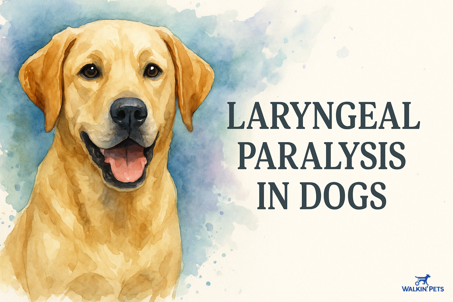 Symptoms, Causes, and Treatment – Walkin’ Pets Symptoms, Causes, and Treatment – Walkin’ Pets