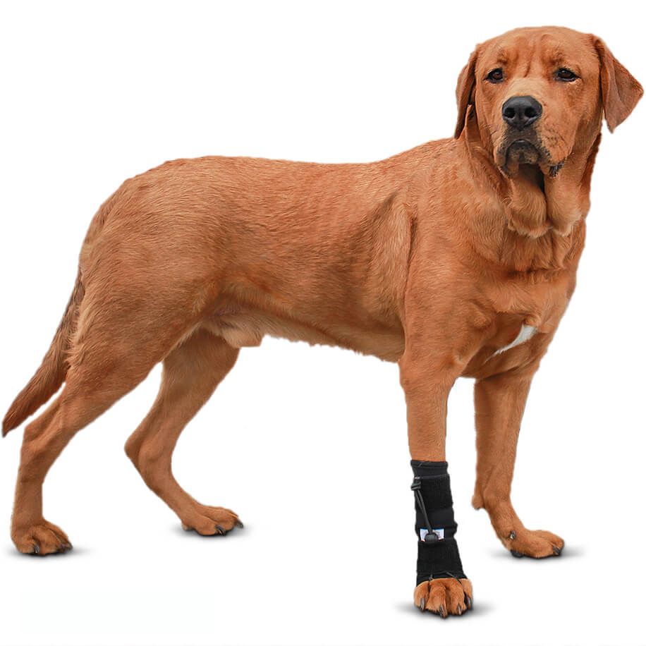 No-Knuckling Training Sock Dog Knuckling Front Paws Walkin' Pets