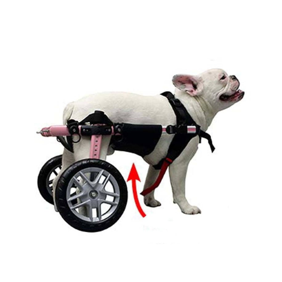 Belly Support for Walkin' Wheels Dog Wheelchair – Walkin' Pets