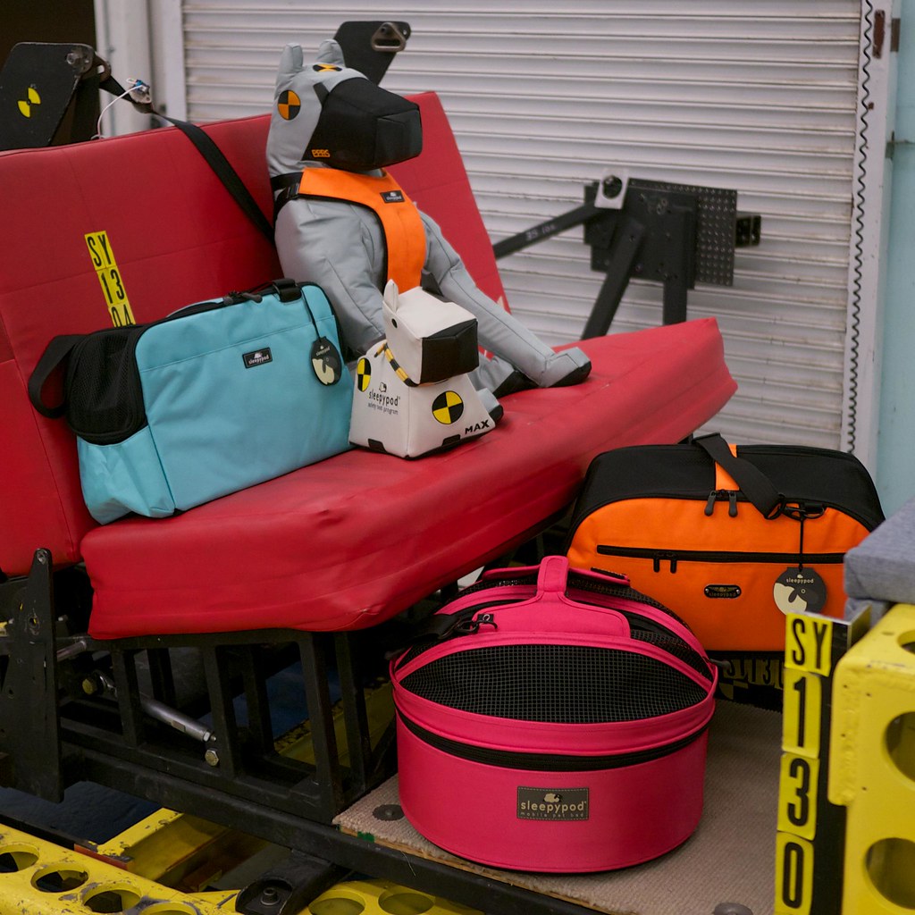 The Importance of Seat Belts for Pets