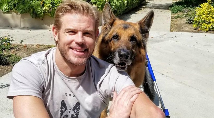 trevor donovan DM dog advocate