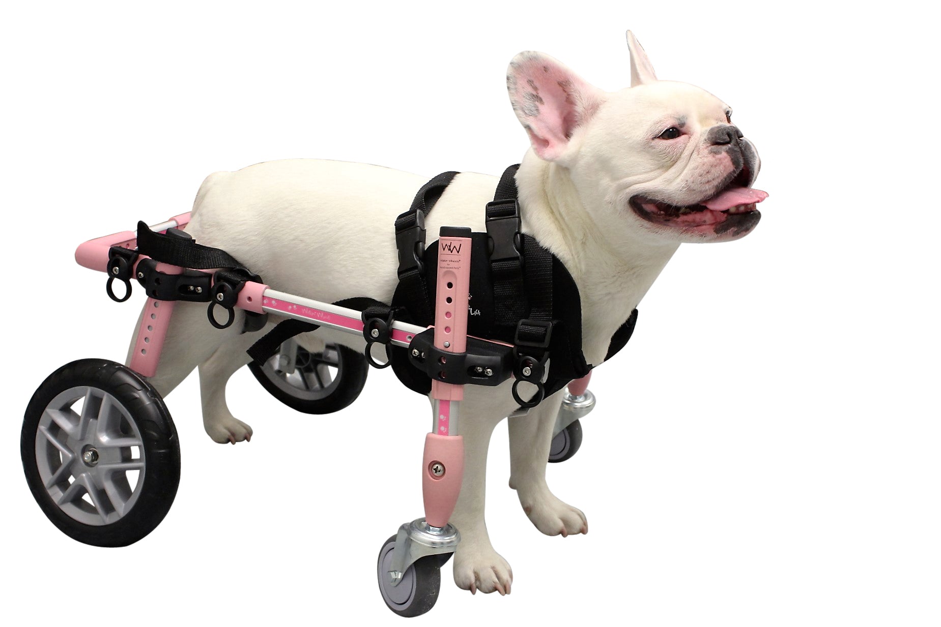 Walkin' Wheels Front Neoprene Harness