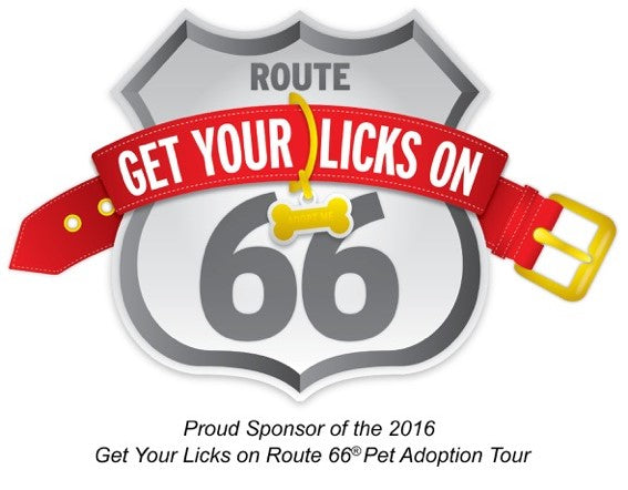 pet adoption tour