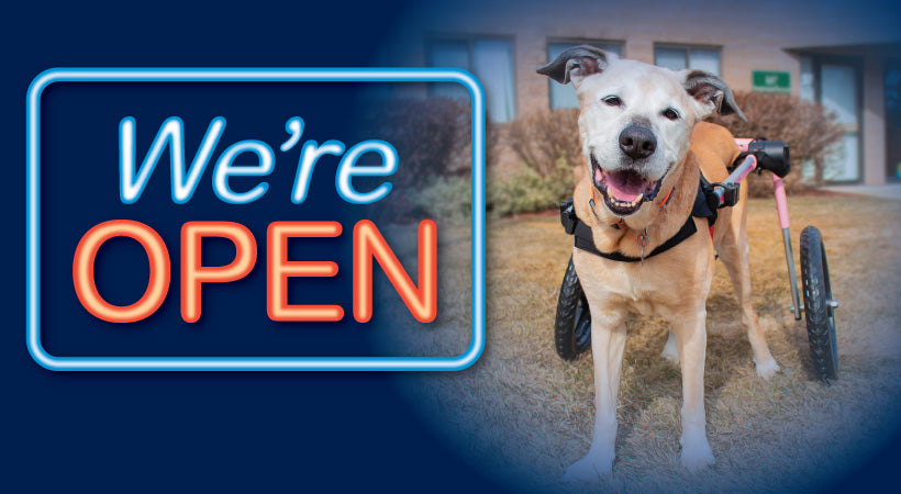 Walkin' Pets is Open