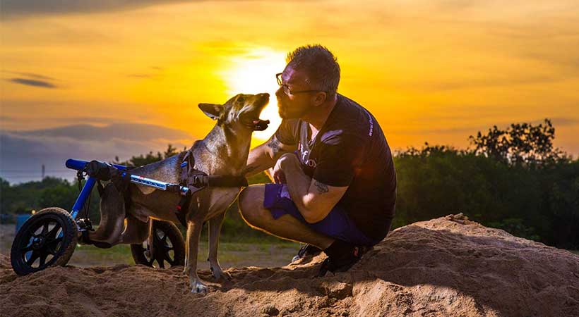 the man that rescues dogs