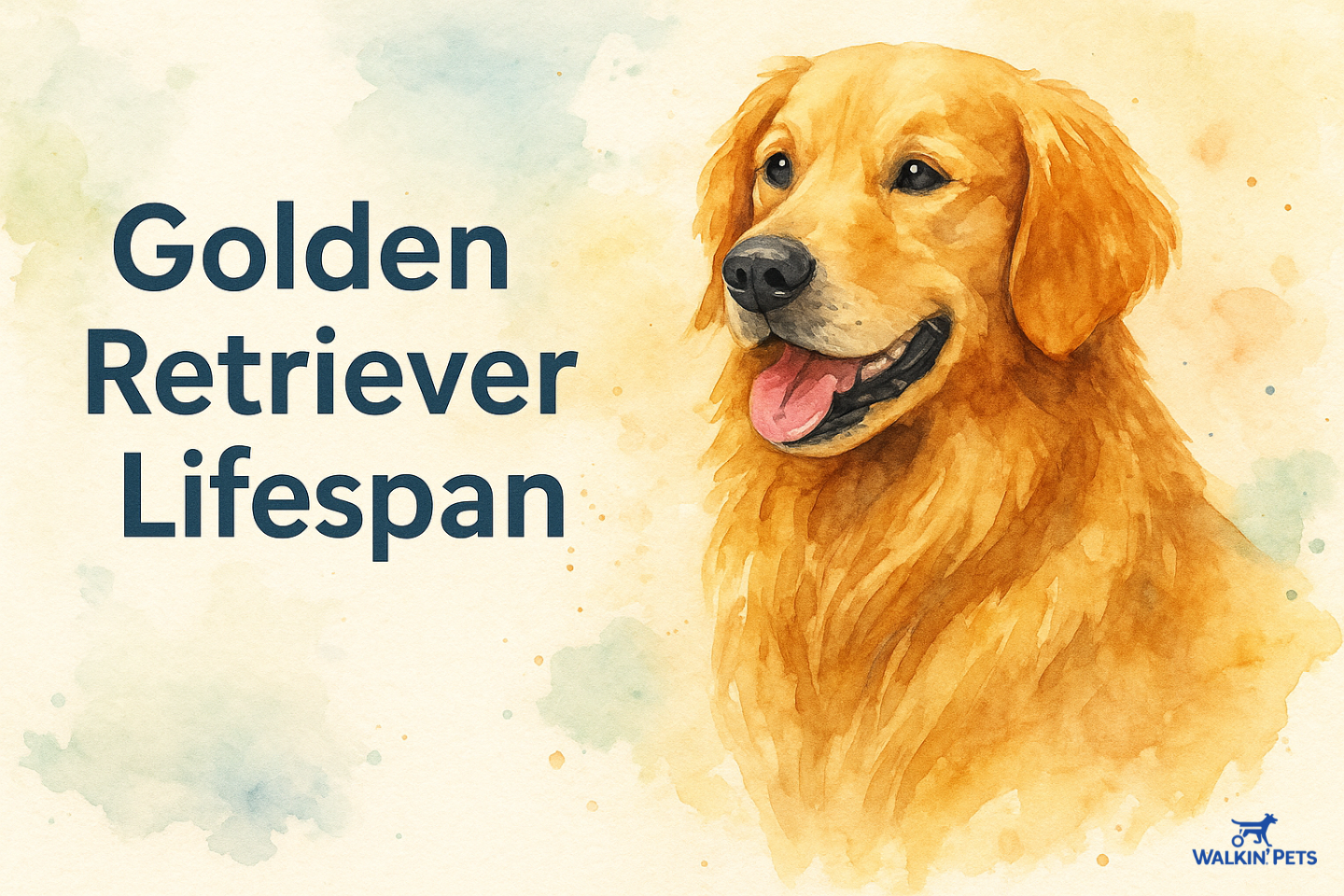 Golden retriever lifespan