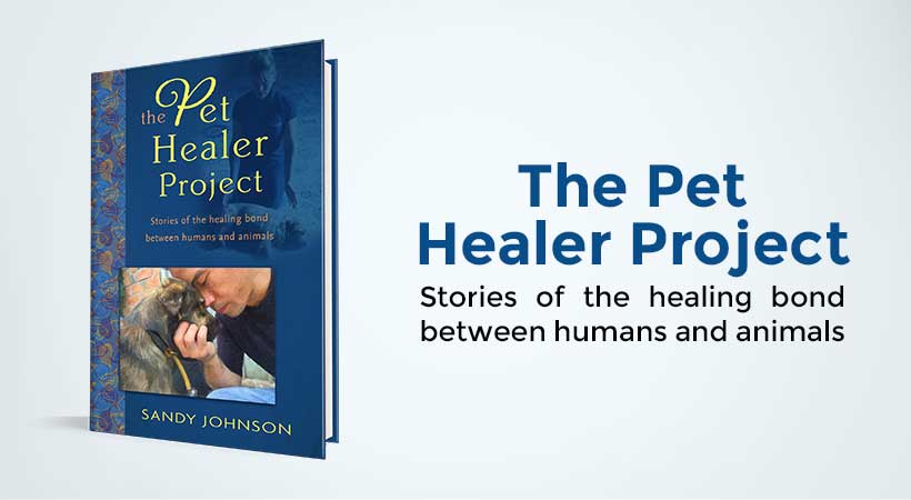 pet healer project book