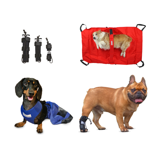 Other Mobility Products | Walkin Pets – Walkin' Pets