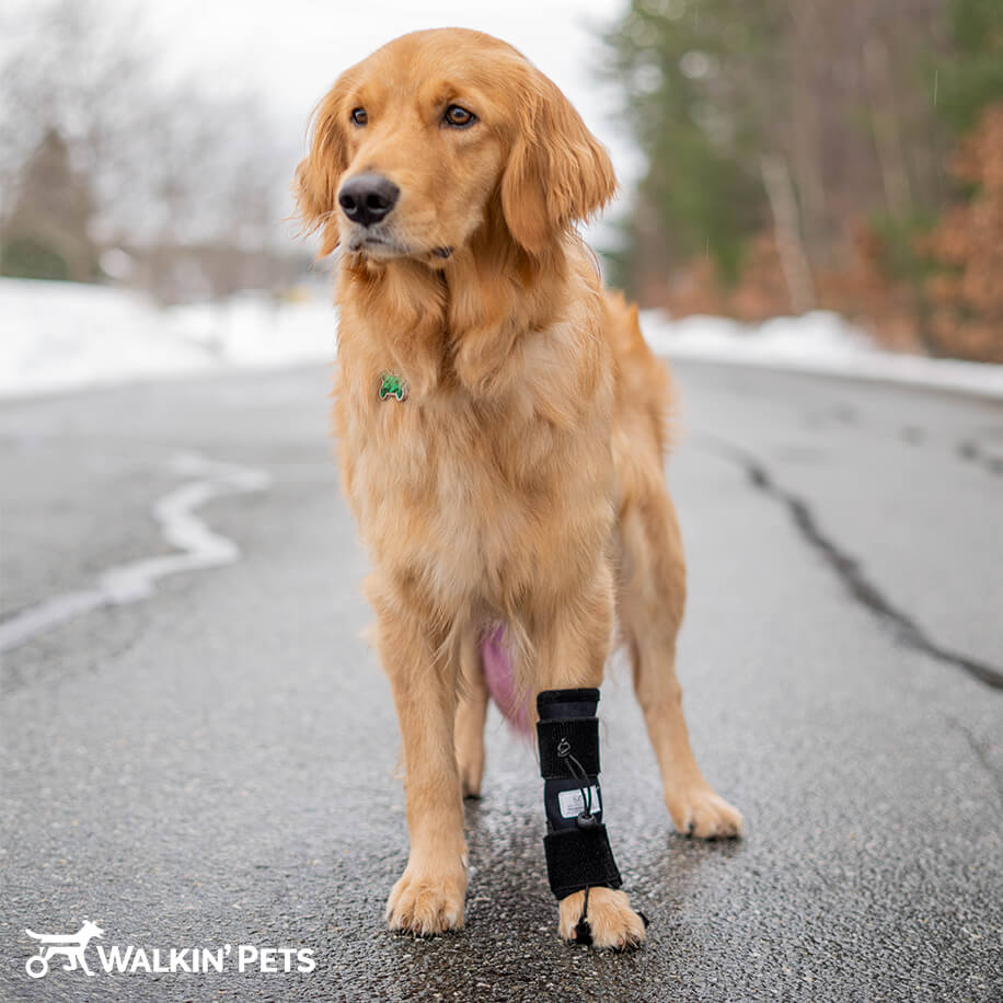 Front No-Knuckling Training Sock