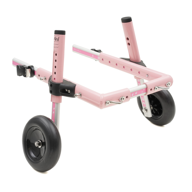 dog stroller for dachshund Dog Wheelchair for Miniature Dachshund | Dachshund Cart