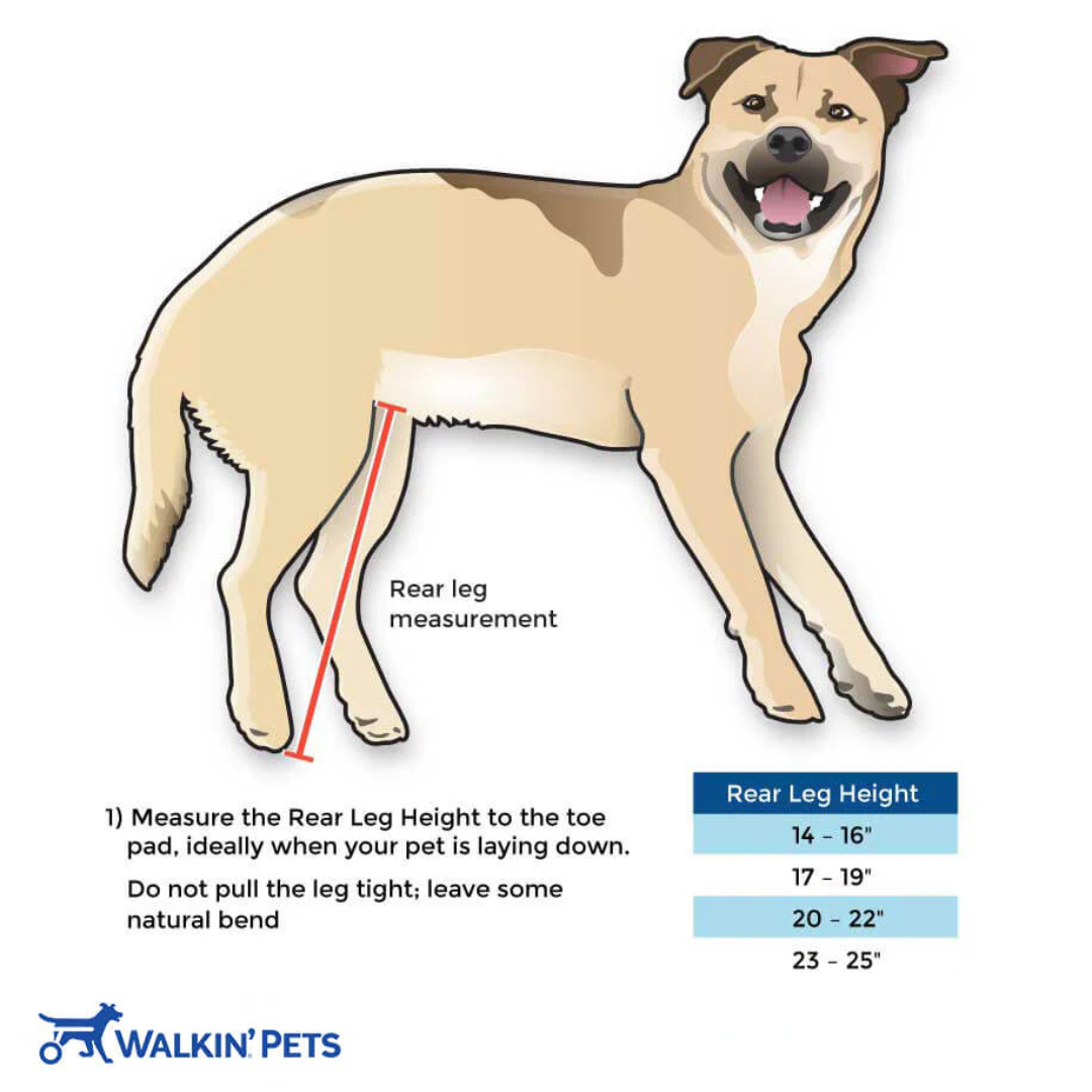 Walkin' Wheels LARGE Dog Wheelchair