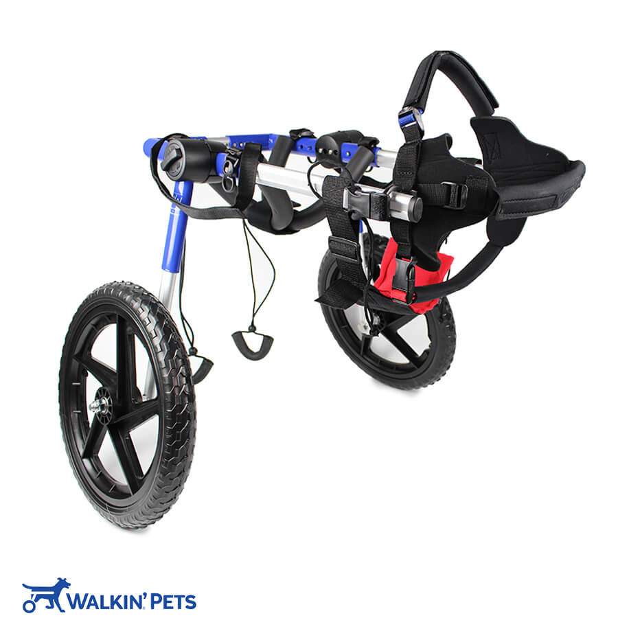 Walkin' Wheels Med/Large Dog Wheelchair