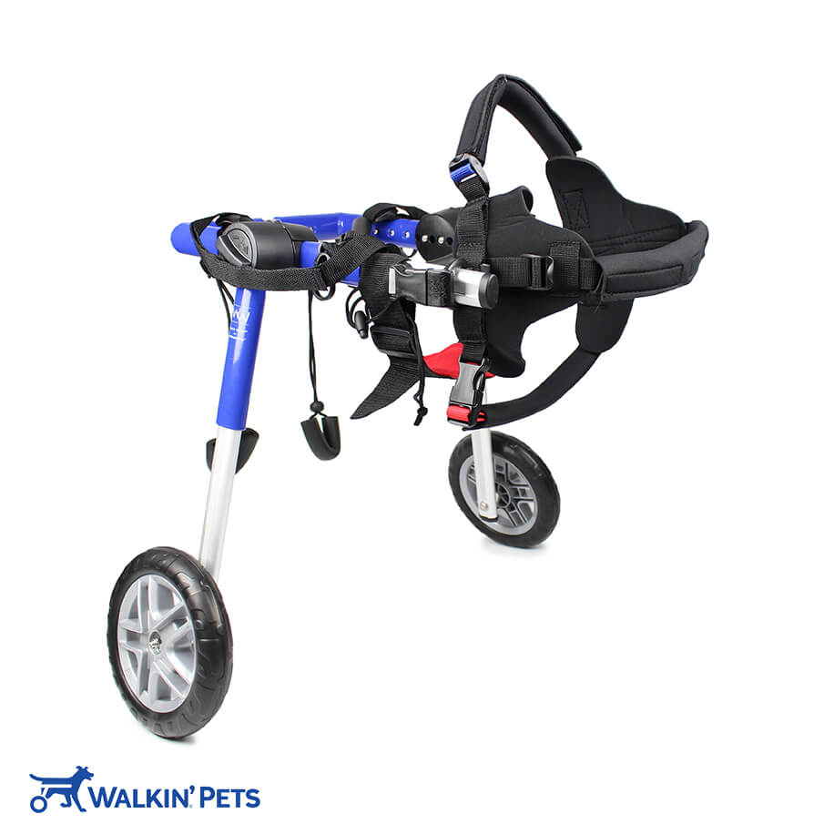 Walkin' Wheels MEDIUM Dog Wheelchair