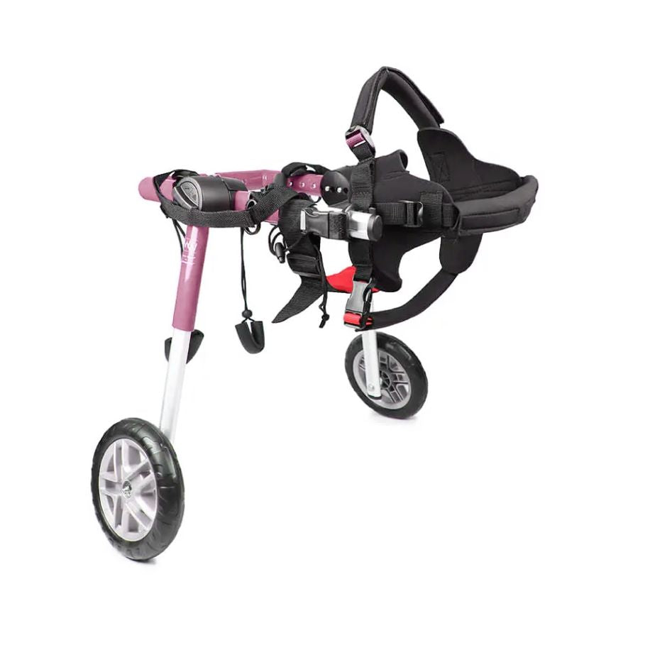 Walkin' Wheels CORGI Dog Wheelchair