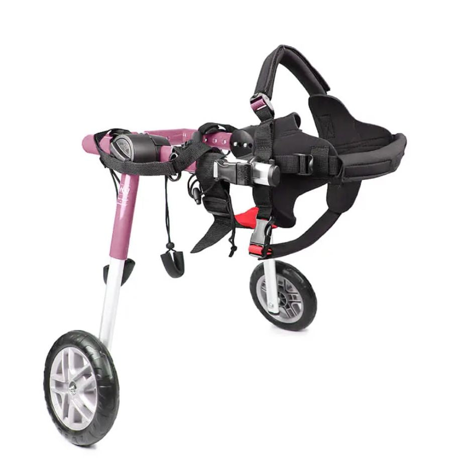 Medium Dog Wheelchair for Pets 25-69 Lbs | Walkin' Wheels – Walkin