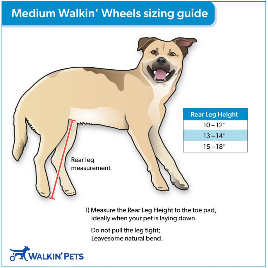 Walkin' Wheels MEDIUM Dog Wheelchair - Main Image