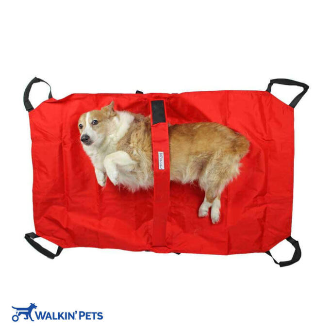 Walkin’ Pet Transport Stretcher