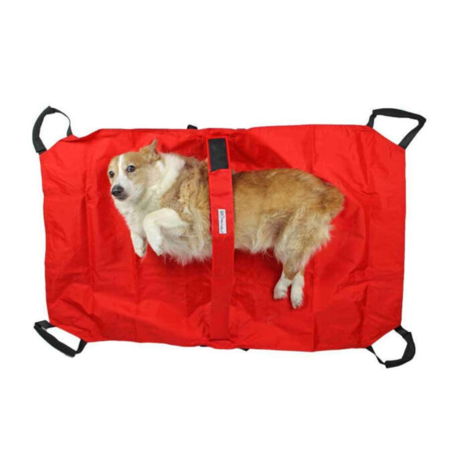 Walkin’ Pet Transport Stretcher