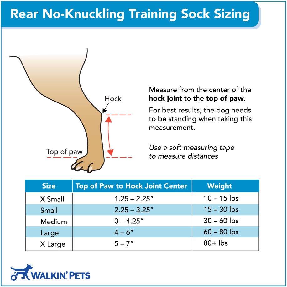 Rear No-Knuckling Training Sock