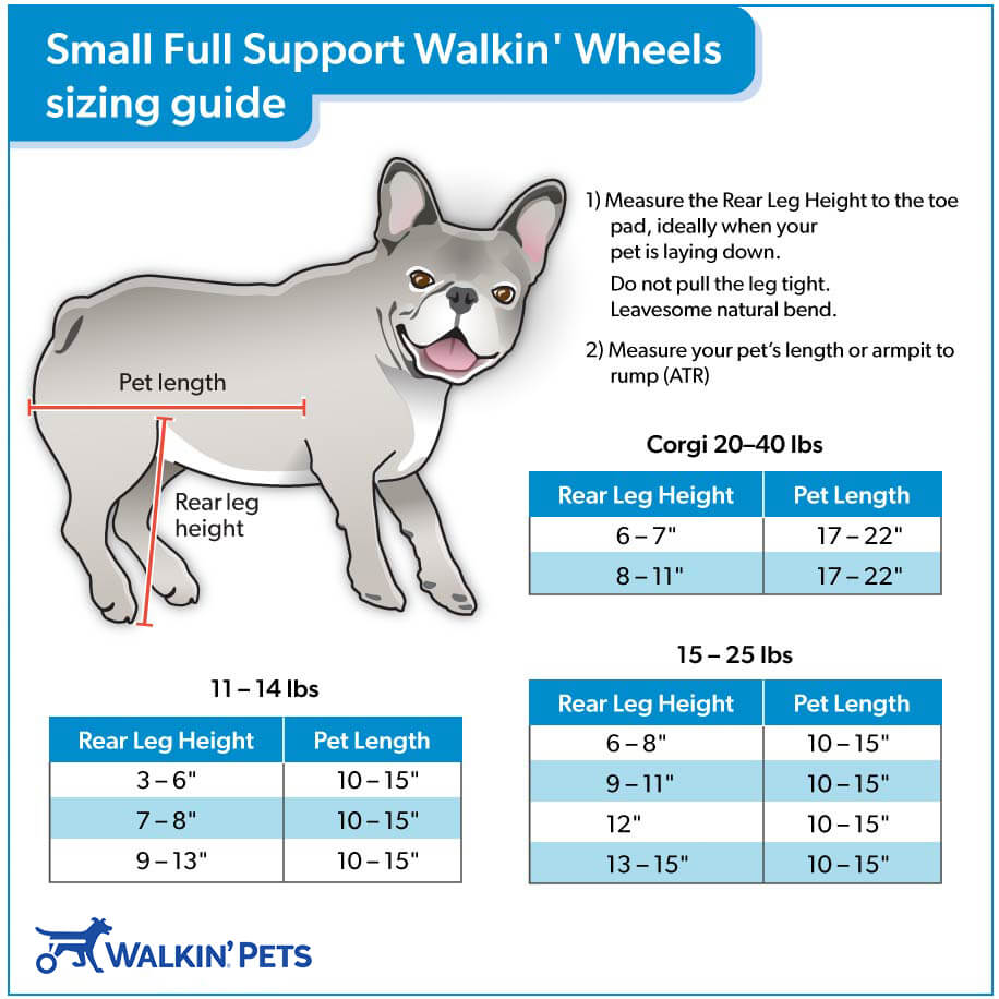 Walkin' Wheels Full Support/4-Wheel SMALL