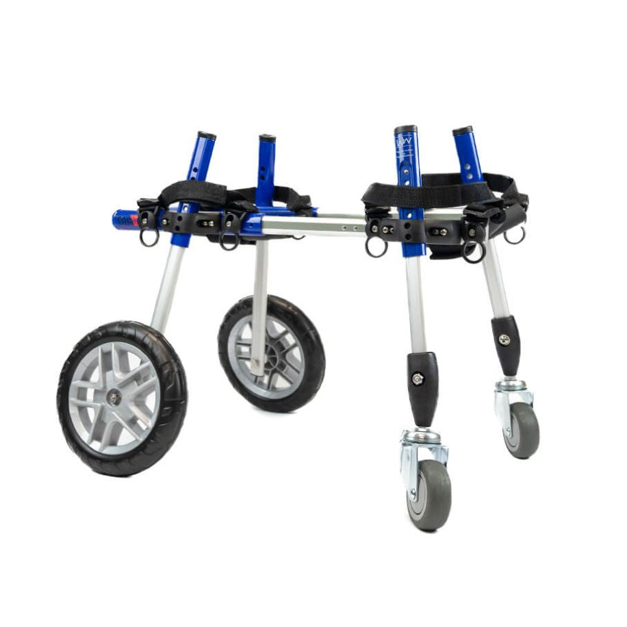 Walkin' Wheels Full Support/4-Wheel SMALL
