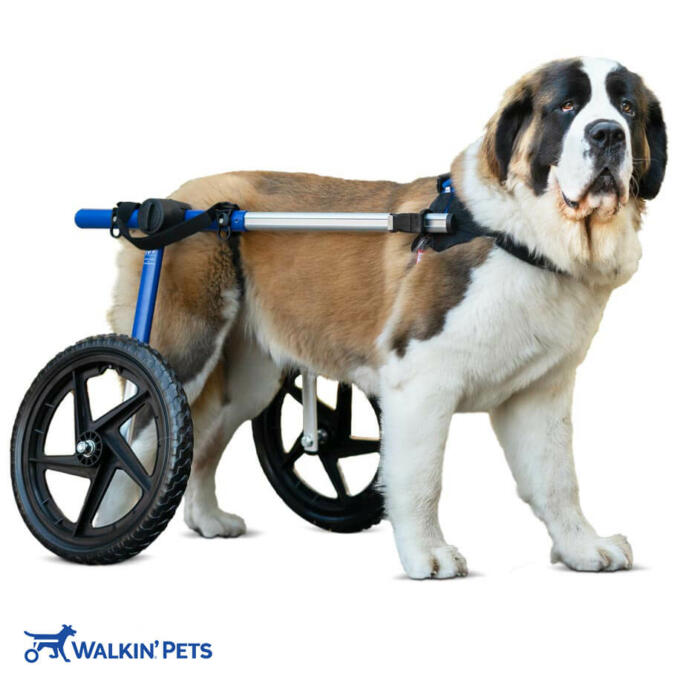 Walkin' Wheels LARGE Dog Wheelchair