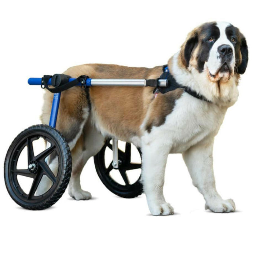 Dog Wheelchair For Back Legs | Rear Support Dog Wheelchair | Walkin' Pets