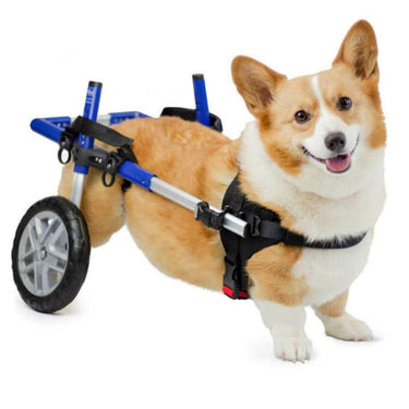 Dog Wheelchair For Back Legs | Rear Support Dog Wheelchair | Walkin' Pets