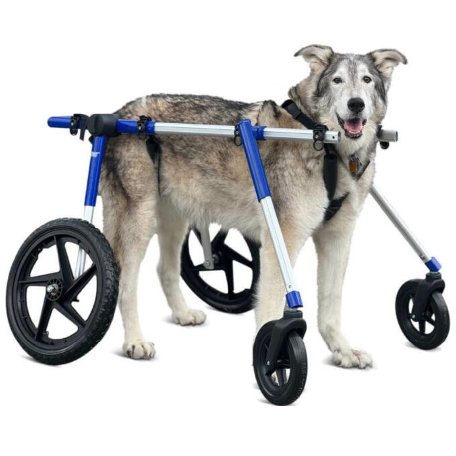 Walkin’ Wheels Full Support/4-Wheel LARGE