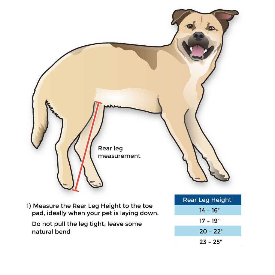 Walkin’ Wheels Full Support/4-Wheel LARGE