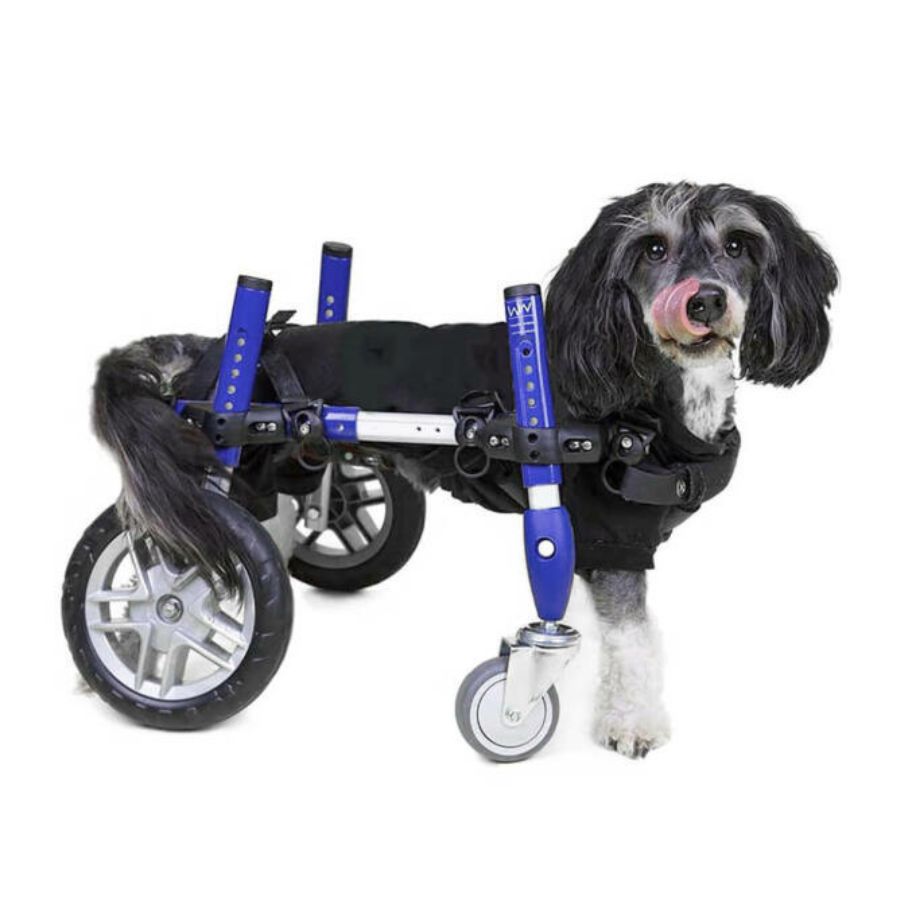 Walkin' Wheels Full Support/4-Wheel SMALL