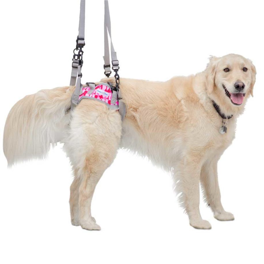 Walkin’ Warrior Rear Harness - Main Image