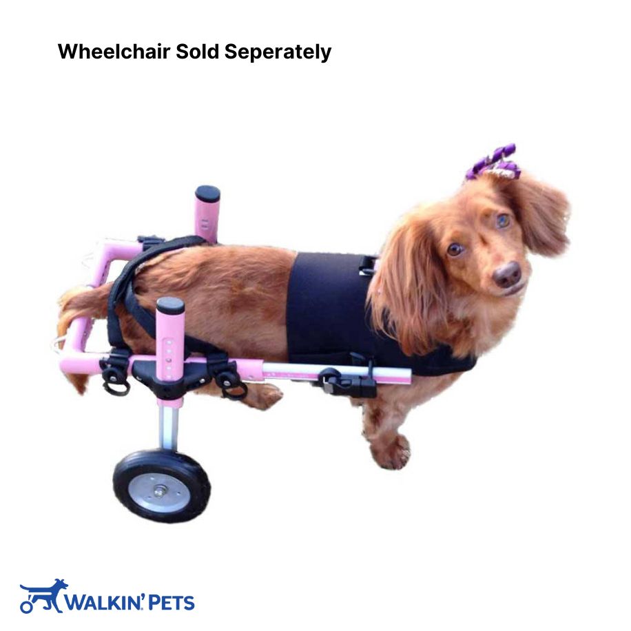 Small Premium Front Vest for SMALL Dog Wheelchair