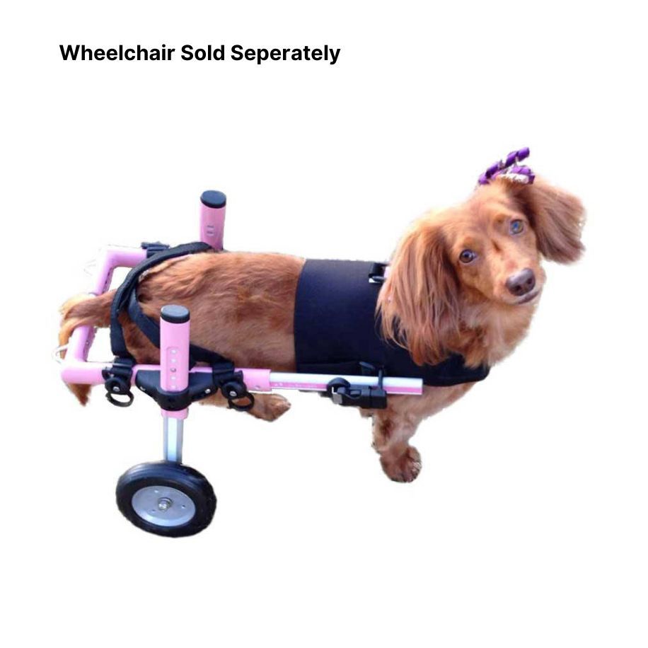 Small Premium Front Vest for SMALL Dog Wheelchair
