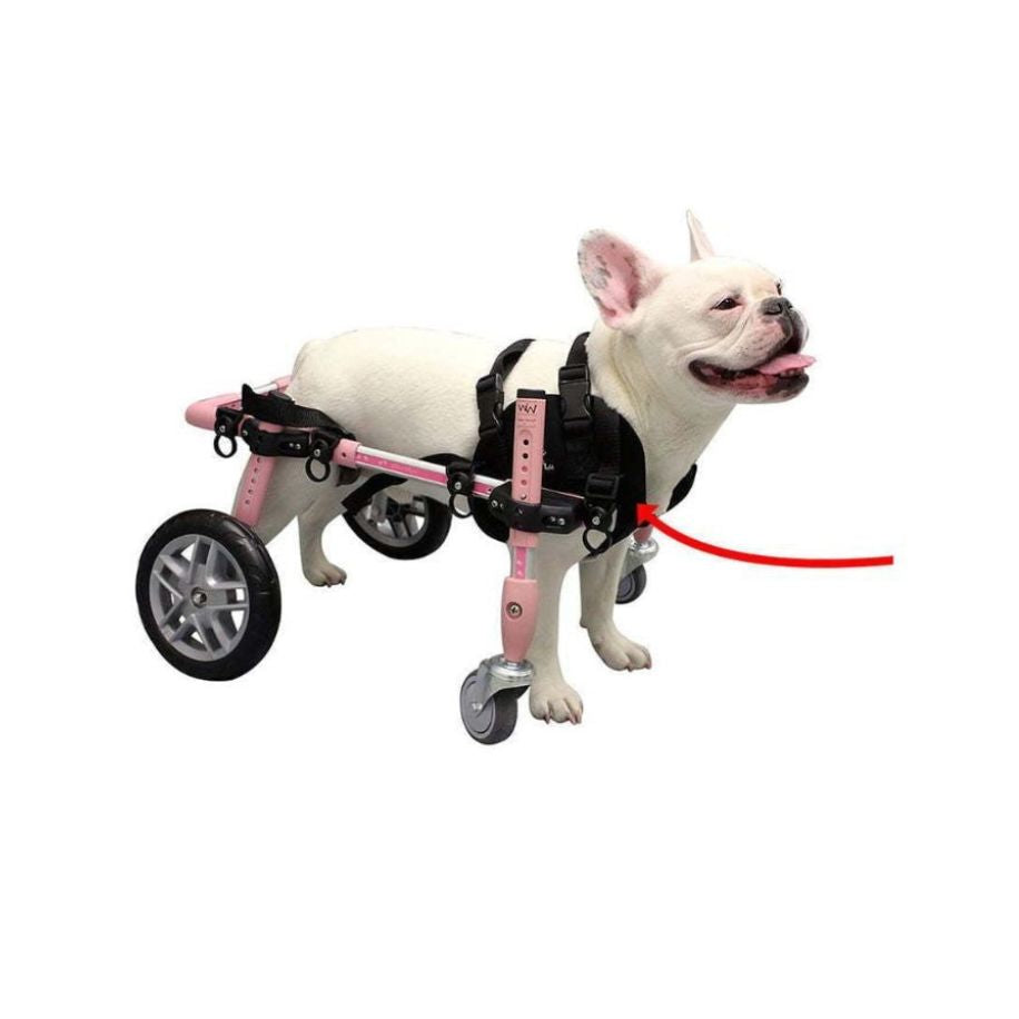 Small Front Quad Harness