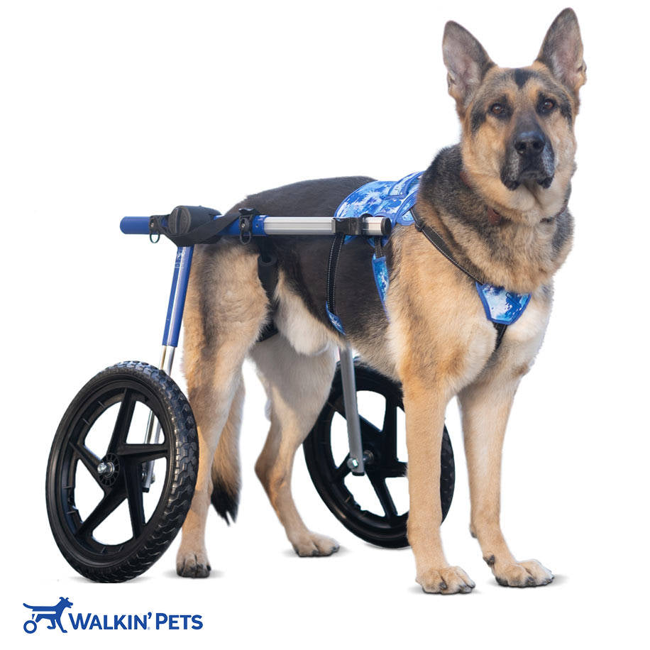 Buddy Up Front harness for dog wheelchair