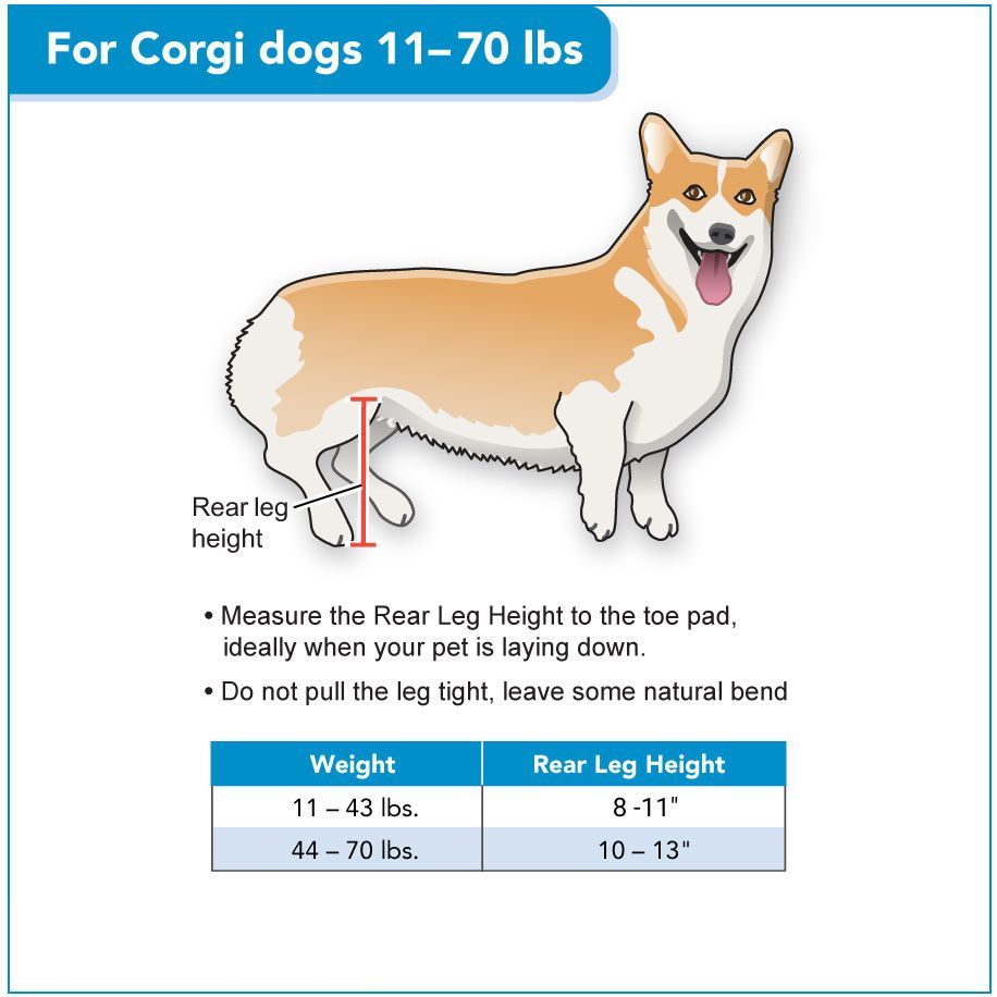 Walkin' Wheels CORGI Dog Wheelchair