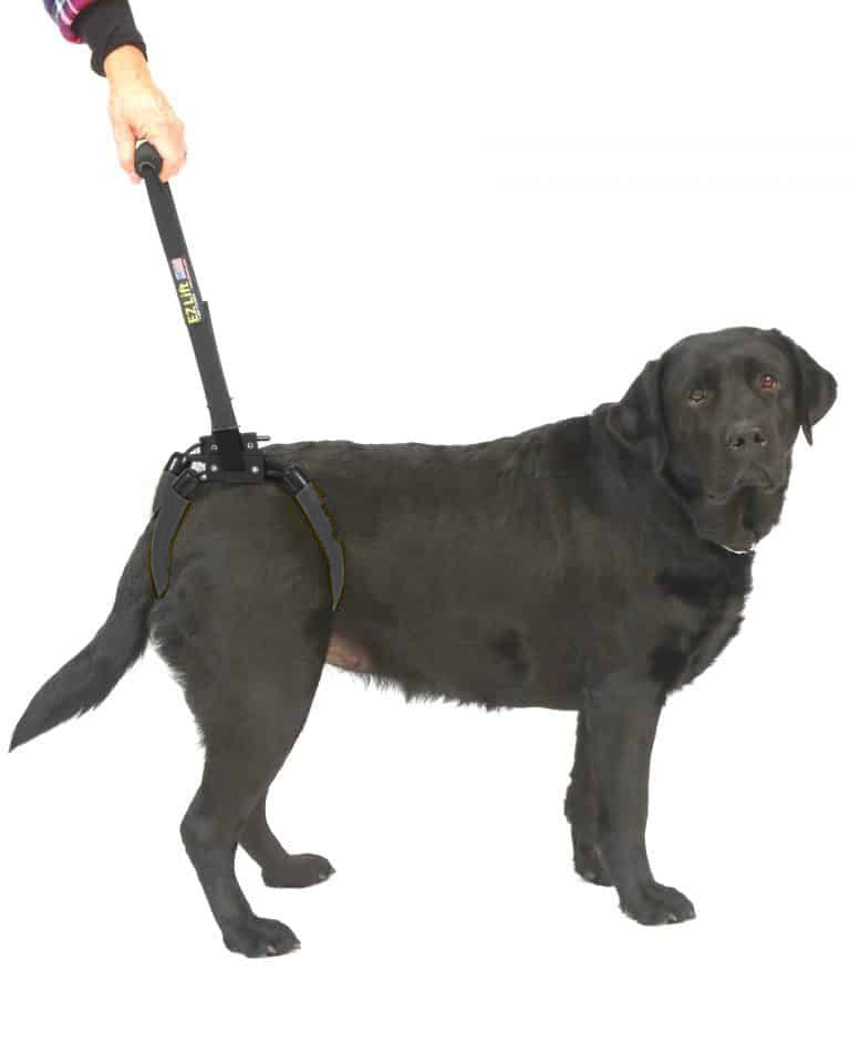 Dog Lift Harness – EZ Lift