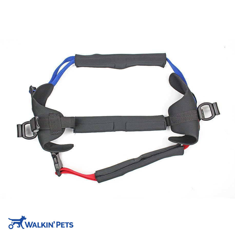 Front Harness