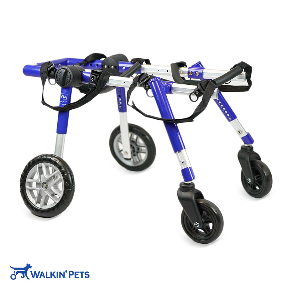 Walkin' Wheels Full Support/4-Wheel MEDIUM