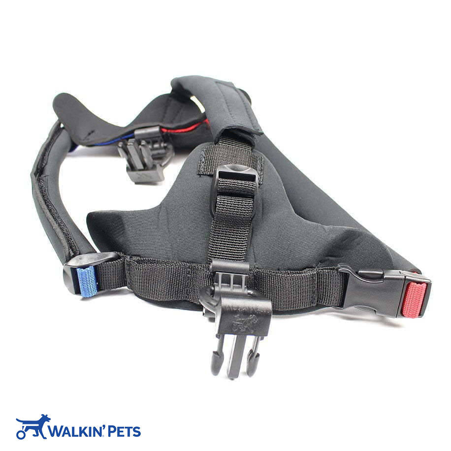 Front Harness