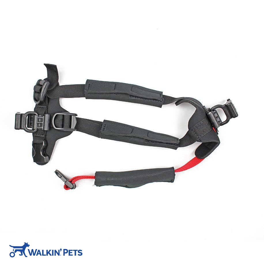 Front Harness