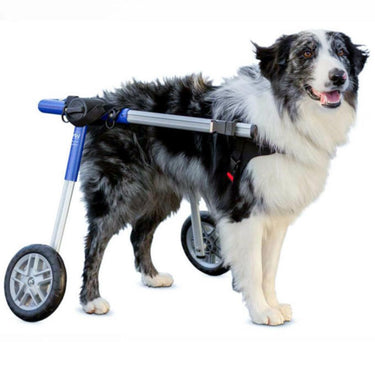 Dog Wheelchair For Back Legs | Rear Support Dog Wheelchair | Walkin' Pets