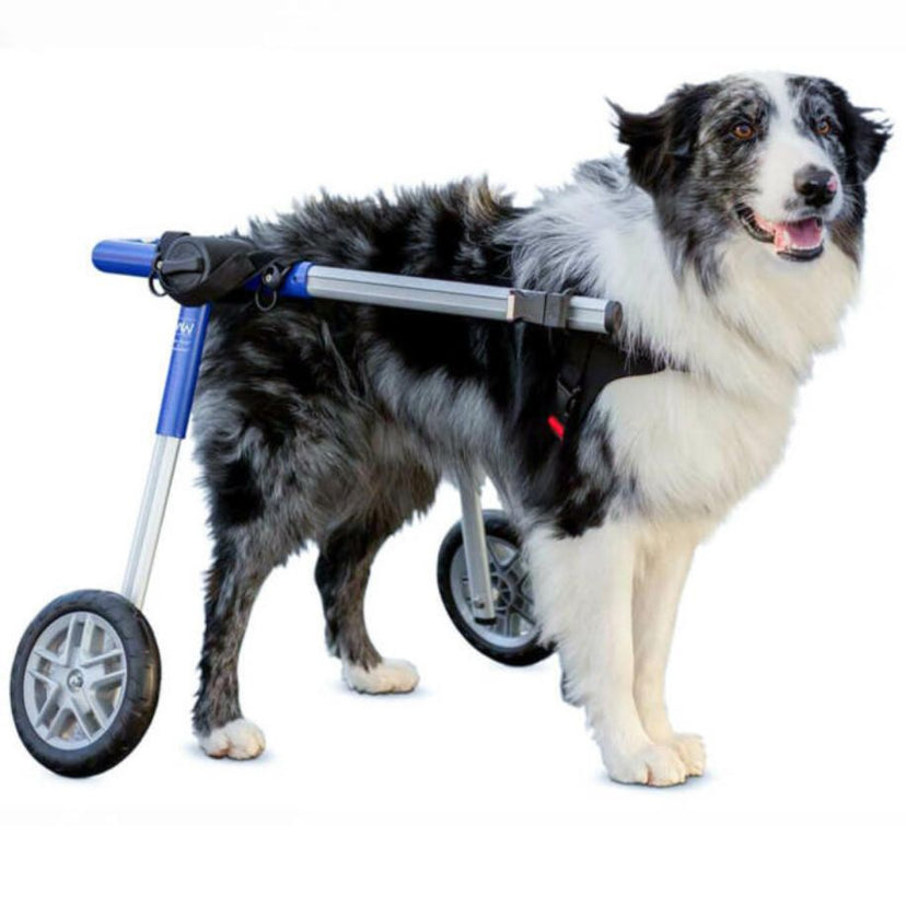 Dog Wheelchair For Back Legs | Rear Support Dog Wheelchair | Walkin' Pets