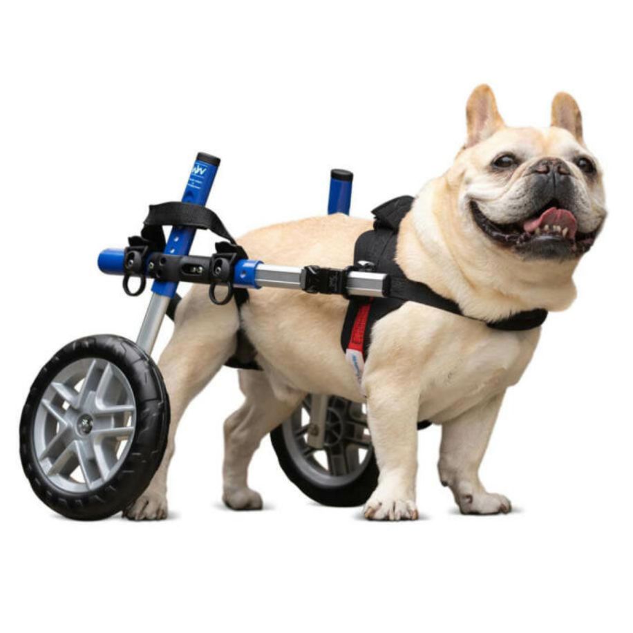 Dog wheelchair for small dog